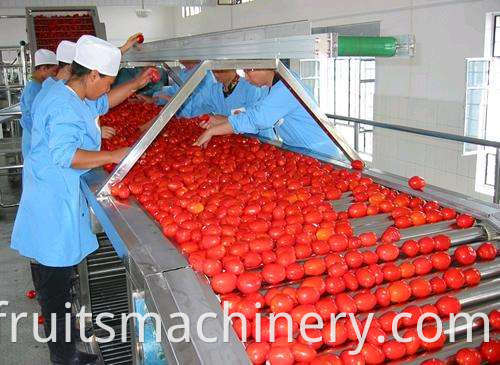 Tomato sauce production line